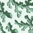 Coral Tide Sea Glass
