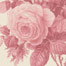 Belmont Toile Tea Rose