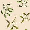 Mistletoe Parchment Grand Sprig